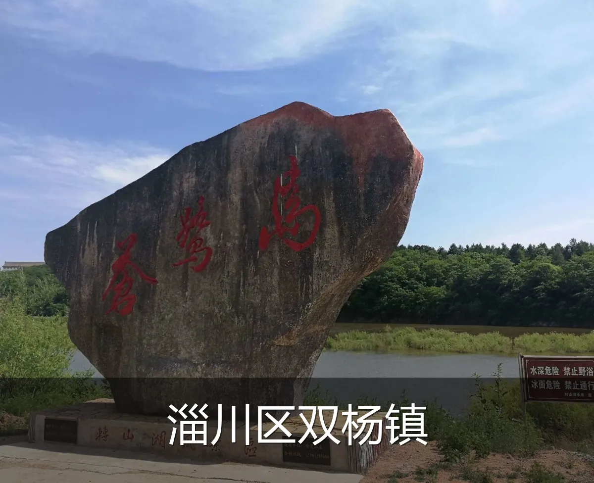 淄川区双杨镇